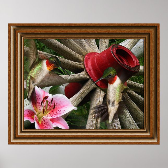 Póster Hummingbird 'Framed' (Frente)