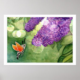 Poster Hummingbird Hawk Moth e Lilacs