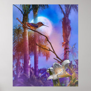 POSTER HUMMINGBIRD MOONLICE OASIS