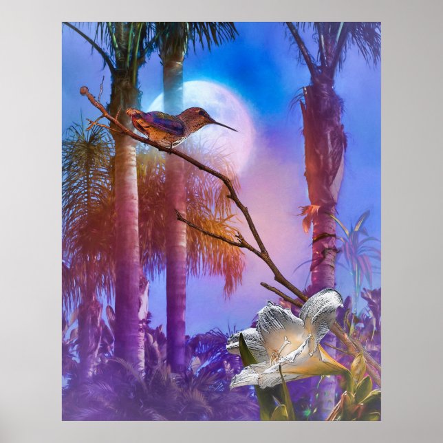 POSTER HUMMINGBIRD MOONLICE OASIS (Frente)