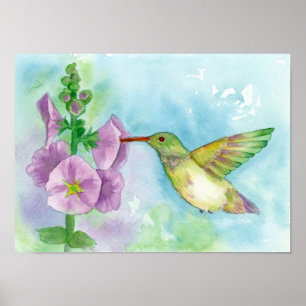 Poster Hummingbird Rosa Hollyhock Flores Aquarela