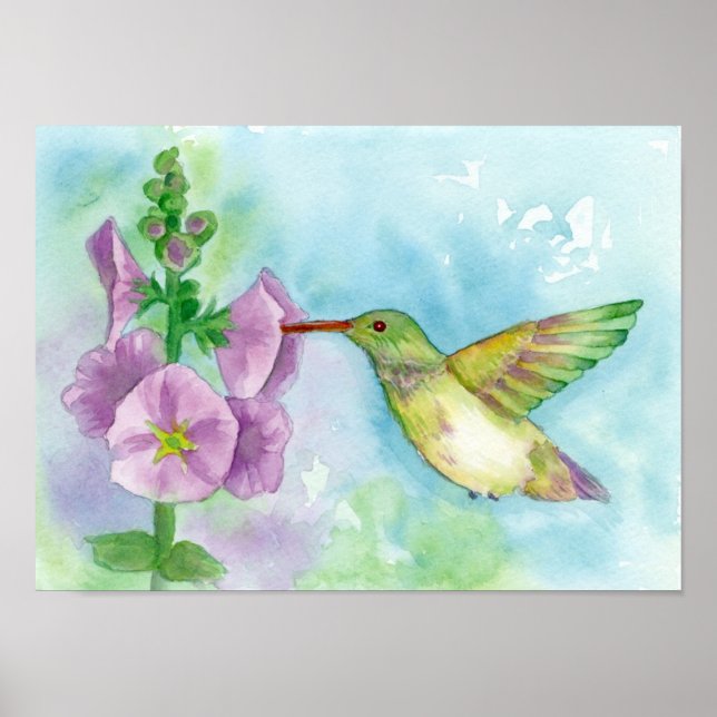 Poster Hummingbird Rosa Hollyhock Flores Aquarela (Frente)