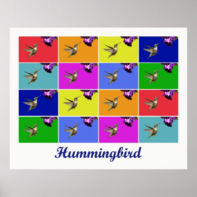 Poster Hummingbird x16 (Título) (Frente)
