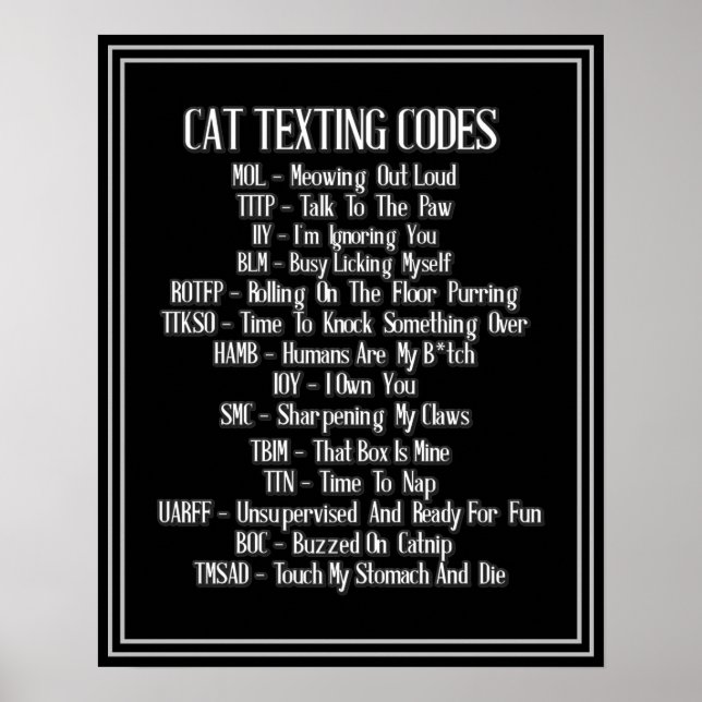 Poster Humor de Códigos de Textura de Cat (Frente)