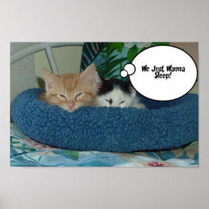 Póster Humor de Gato de Orange Tabby
