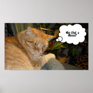 Póster Humor de Gato e Rato