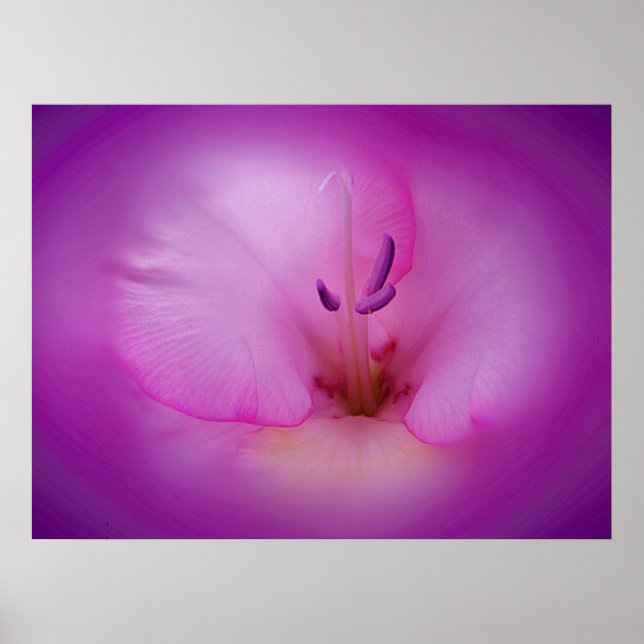 Póster Humor roxo (Frente)