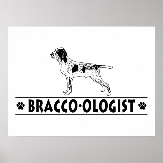 Póster Humorous Bracco Italiano (Frente)