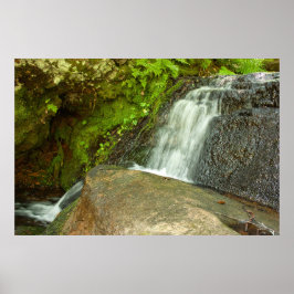 Poster Hungarian Falls Mossy Forest Cascade