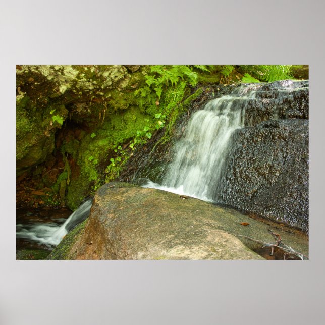 Poster Hungarian Falls Mossy Forest Cascade (Frente)