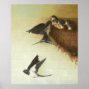 Póster Hungry Mouths 2011