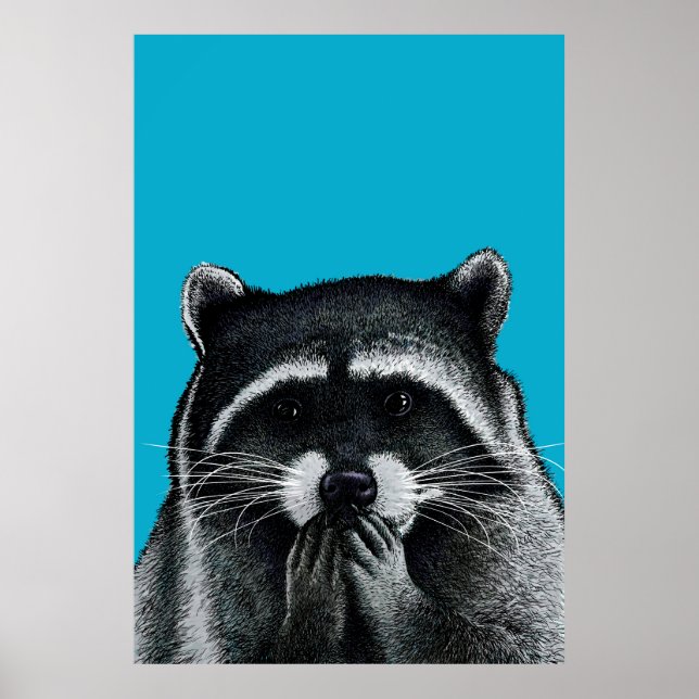 Póster Hungry Raccoon em azul (Frente)