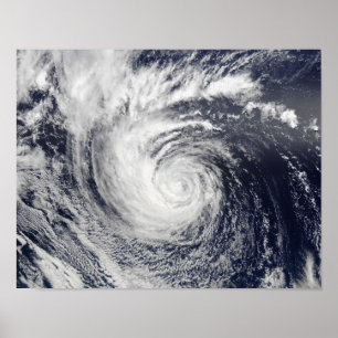 Póster Hurricane Ele