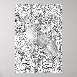 Poster Husky