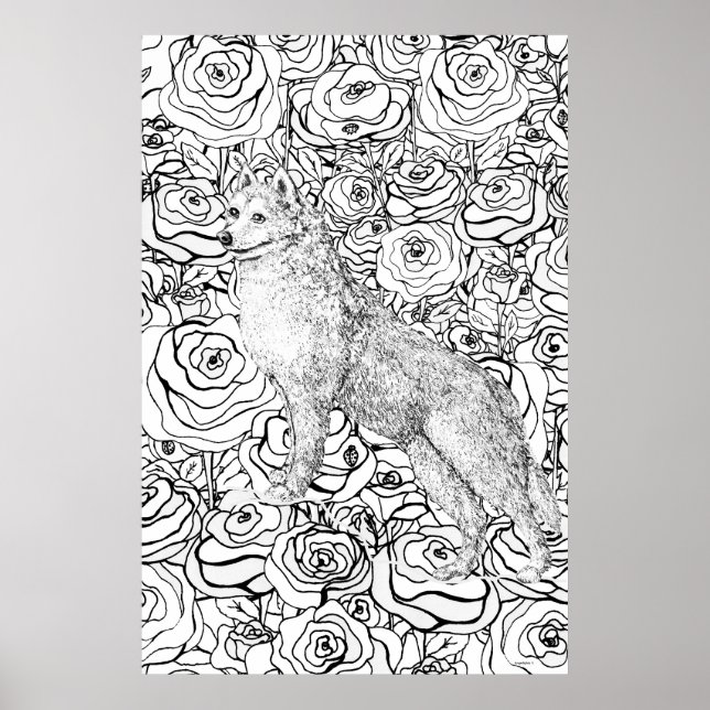 Poster Husky (Frente)