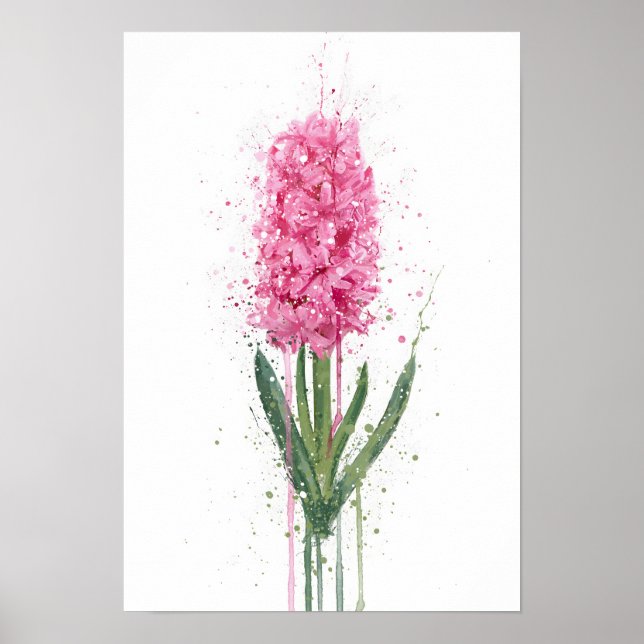 Poster Hyacinth (Frente)