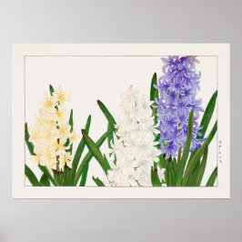 Poster Hyacinth, Purple White e Yellow Flowers por Konan,