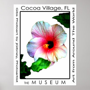 Poster Hybiscus p3 da vila do cacau O MUSEU Zazzle