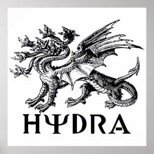 Poster Hydra