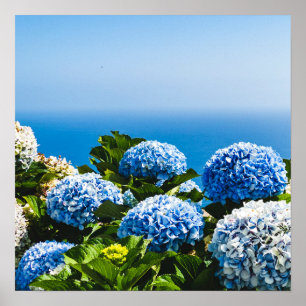 Poster Hydrangea azul no oceano gradiente Quebra-cabeça 
