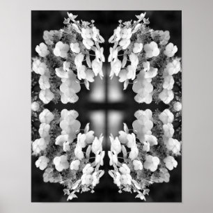 Poster Hydrangea Black E White Mirror Abstrato