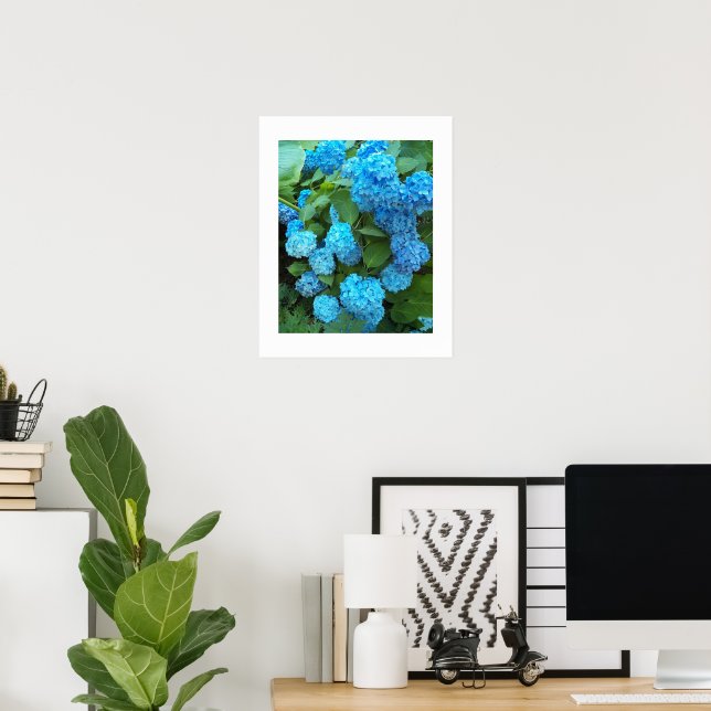 Poster Hydrangea Blooms Floral Fotografia (Escritório em casa)
