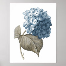 Hydrangea Blue Botanic Trabalho de arte nº 2
