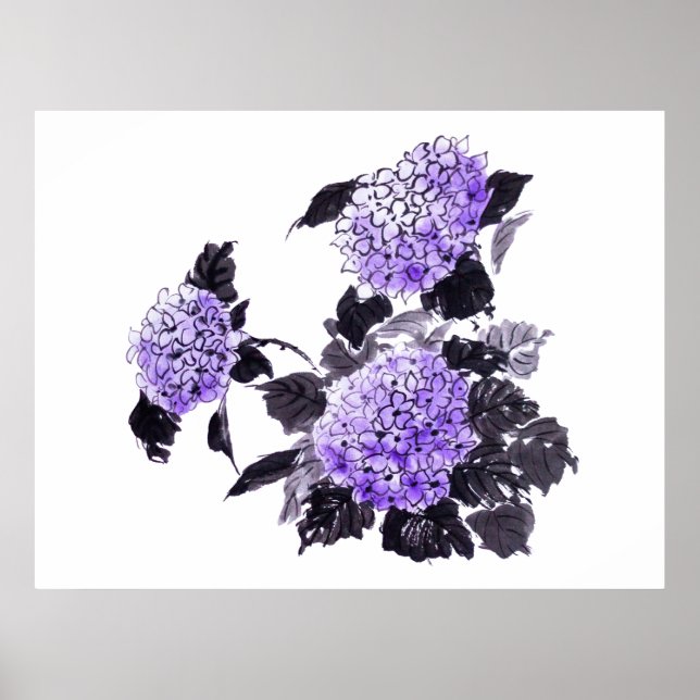 Poster Hydrangea florins sumie (Frente)