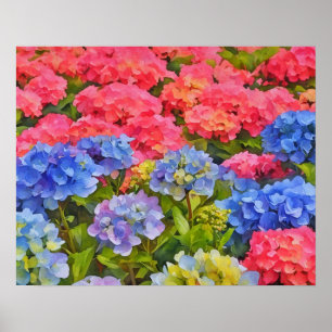 Poster Hydrangea Flowers Aquarela Estilo Arte