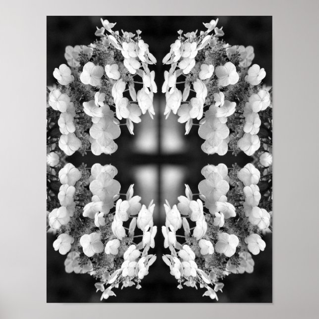 Poster Hydrangea Preto E Espelho Branco Abstrato    (Frente)