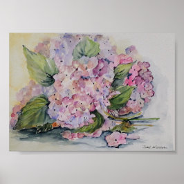 Poster Hydrangeas