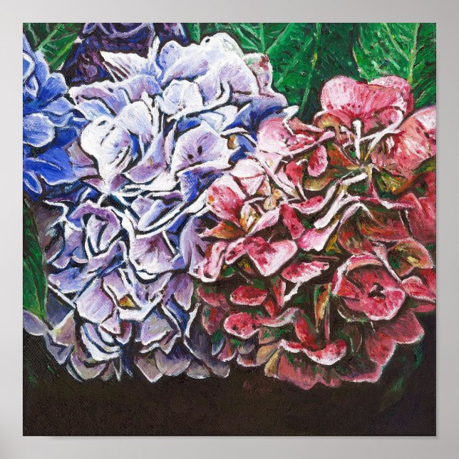Póster Hydrangeas 2010 (Frente)
