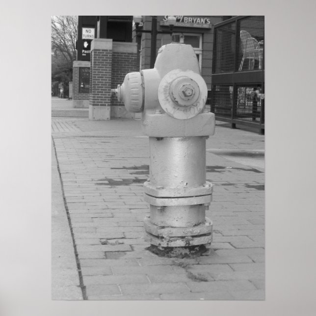 Poster Hydrant de Fogo (Frente)