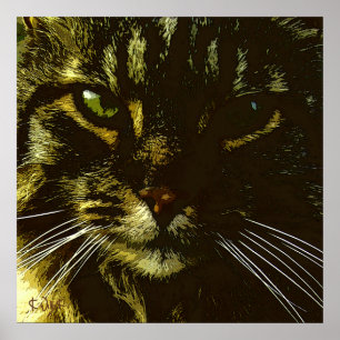 Poster Hypnotizing a hipnose da arte de Digitas do gato