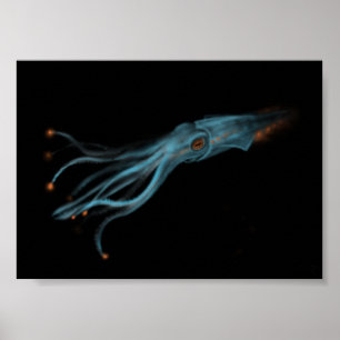 Póster Hypothetical Squid