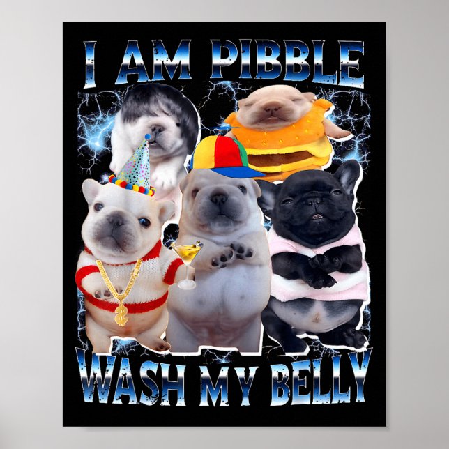 Poster I Am Bble Wash My Belly Bble Meme Funny Dog Brainr (Frente)