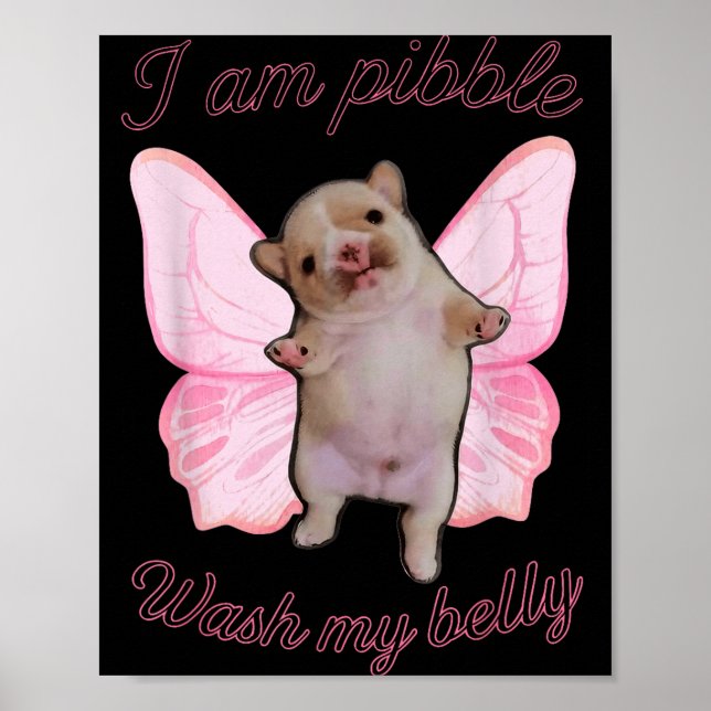 Poster I Am Bble Wash My Belly Bble Meme Funny Dog Brainr (Frente)