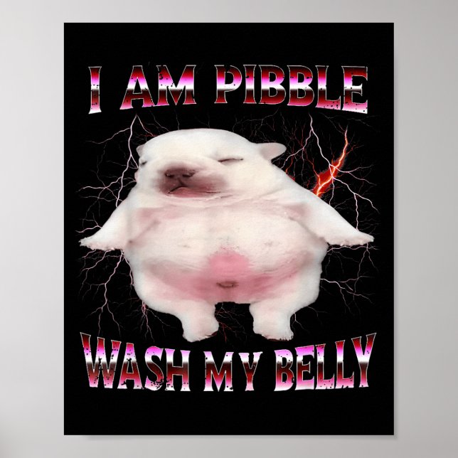 Poster I Am Bble Wash My Belly Funny Dog Meme  (Frente)