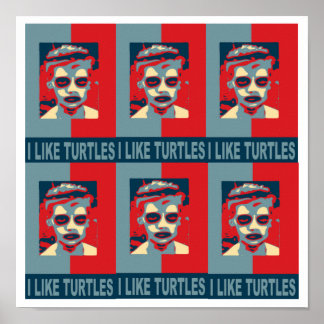 Poster I Like Turtles Poster.