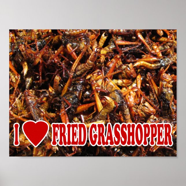 Póster I Love (Heart Fried Grafopper) (Frente)