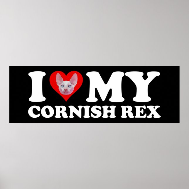 Poster I Love (Heart) My Cornish Rex (Frente)