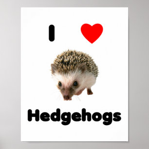 Póster I love hedgehogs