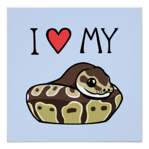 Póster "I Love My Ball Python" Cobra Poster de desenho bo