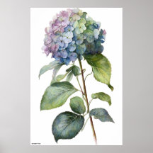 IA gerou arte azul Hydrangea vintage wall art
