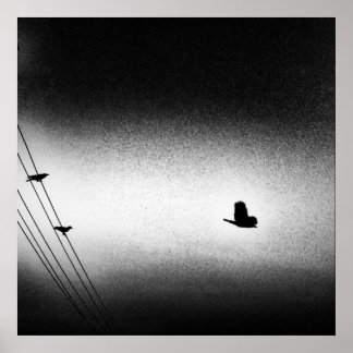 Póster Ianiverse Noir (A Missão)