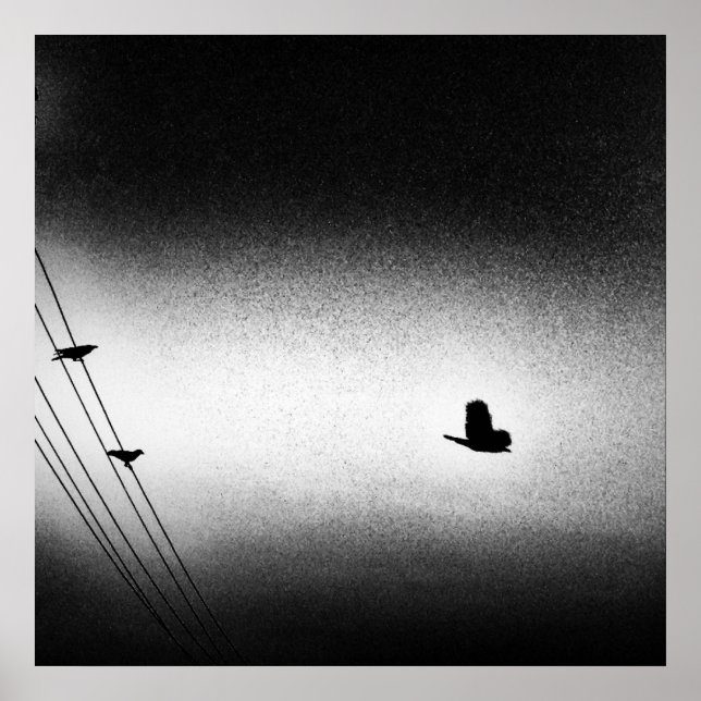 Póster Ianiverse Noir (A Missão) (Frente)