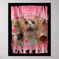 Iapper Profissional - Cat Engraçada - Posição Espe