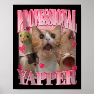 Poster Iapper Profissional - Cat Engraçada - Posição Espe