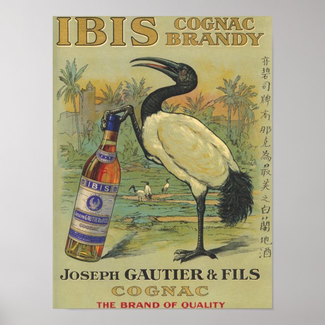 Póster Ibis Cognac - Joseph Gautier e Fils Promo (Frente)
