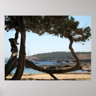 Póster Ibiza Dreams